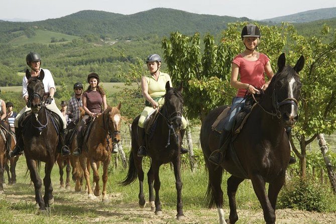 Half-Day Horseback Ride in Tuscany - Small group energy: more control, but the group sets the pace