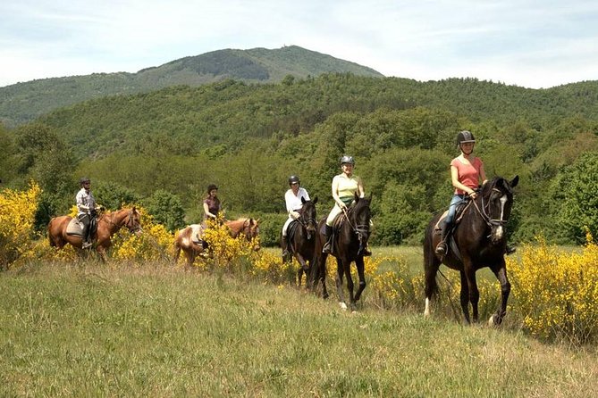 Half-Day Horseback Ride in Tuscany - Price and value: does $118.29 make sense for your time?