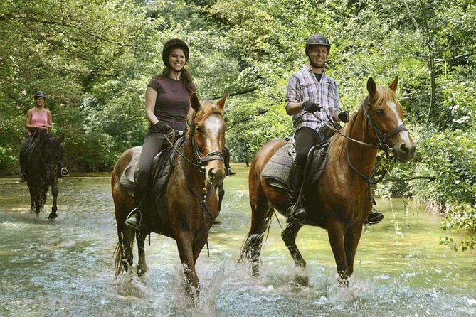 Half-Day Horseback Ride in Tuscany - Who should book this horseback ride near Montieri?