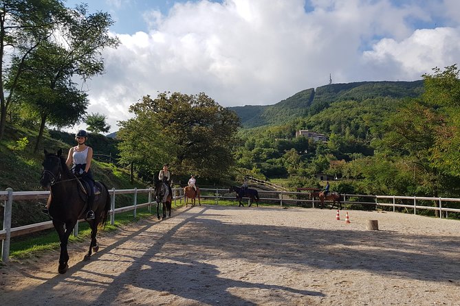 Half-Day Horseback Ride in Tuscany for beginner riders - Key Things I’d Remember Before Booking