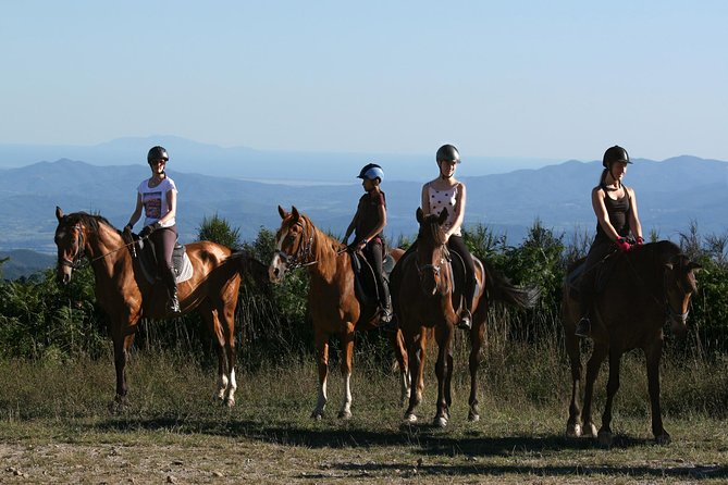 Half-Day Horseback Ride in Tuscany for beginner riders - Prategiano Stables: The Real Start of Your Tuscan Ride
