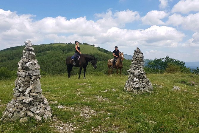 Half-Day Horseback Ride in Tuscany for beginner riders - Montieri Hill: The Climb That Earns the Views