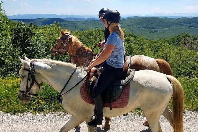 Half-Day Horseback Ride in Tuscany for beginner riders - Morning or Afternoon: How to Plan Your Time Near San Gimignano