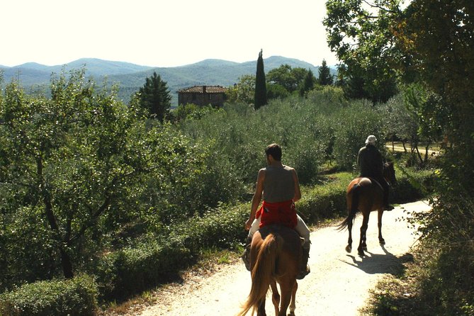 Half-Day Horseback Ride in Tuscany for beginner riders - Price and Value: Why $120.16 Can Be Fair for a Beginner Ride