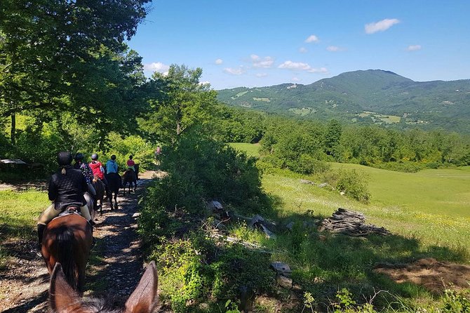 Half-Day Horseback Ride in Tuscany for beginner riders - Safety, Weather, and Comfort: What to Do Before You Go