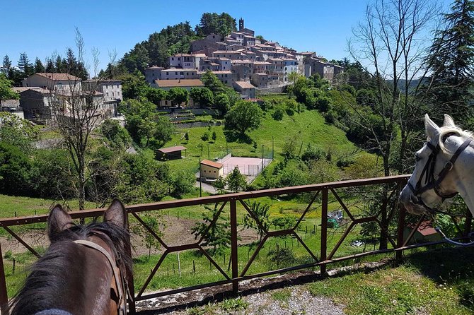 Half-Day Horseback Ride in Tuscany for beginner riders - Who This Tuscany Horseback Ride Fits Best (And Who Should Rethink It)