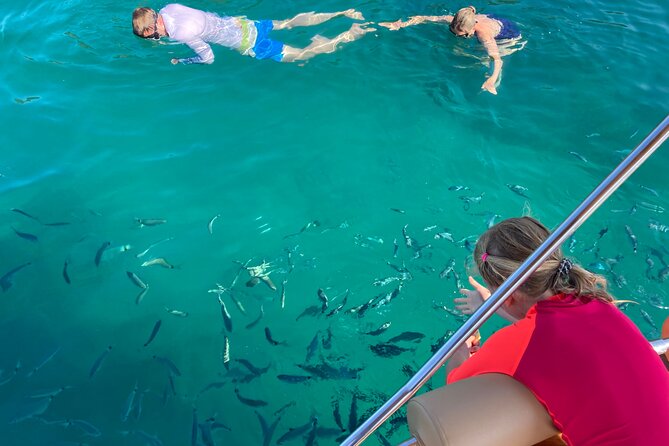 Half Day Private Boat Tour to Cala Violina - Snorkeling Equipment Included: What You Should Bring