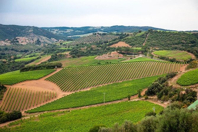 Half Day Tour Chianti Winery with San Gimignano - San Gimignano fits neatly into a half-day escape