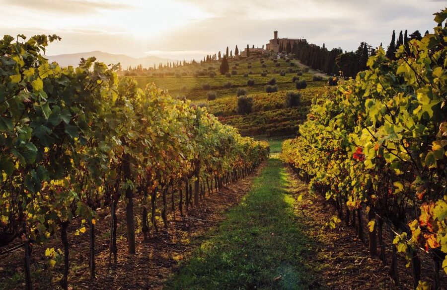 Half-Day Tour from Florence: Chianti Colors & Flavors - Should you book? My quick take