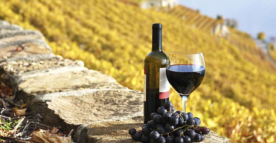 Half-Day Tour from Florence: Chianti Colors & Flavors - Stop 1 winery: owners, cellar time, and olive oil + balsamic snacks