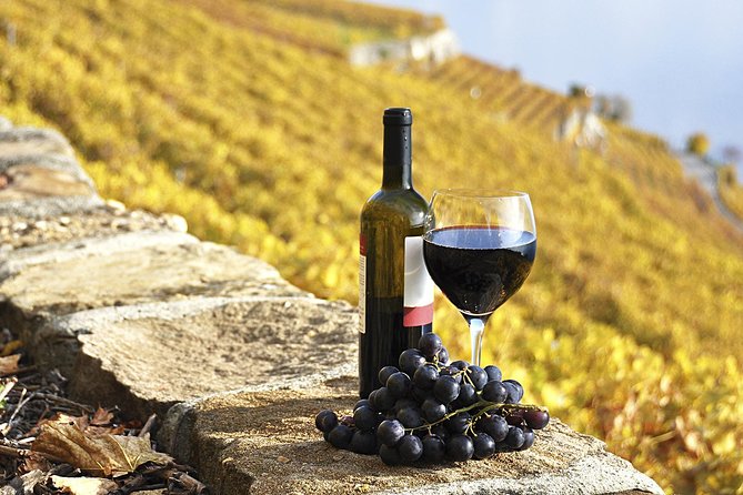 HALF-DAY Tour to Chianti Wine Region: CHIANTI COLORS & FLAVORS - Key Things I’d Watch For