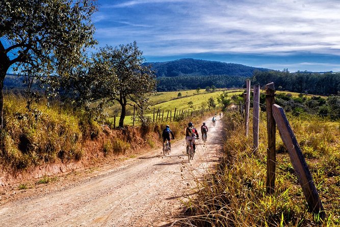 HALF-DAY Tour to Chianti Wine Region: CHIANTI COLORS & FLAVORS - Greve in Chianti Wine Estate: Owners, Cellars, and the Production Story