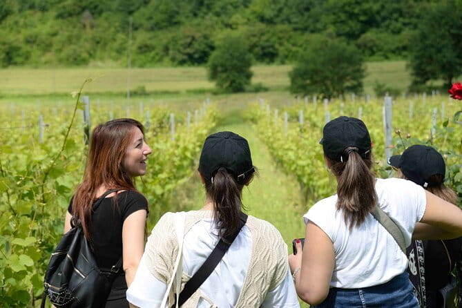 Hike & Wine Tour - Price and Value: Is $143.29 Fair for Florence-Tuscany?