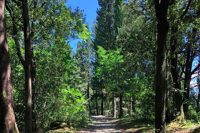 Hiking Florence Tuscany hills with lunch & wine - The 8 km countryside walk: easy paths with stops for views