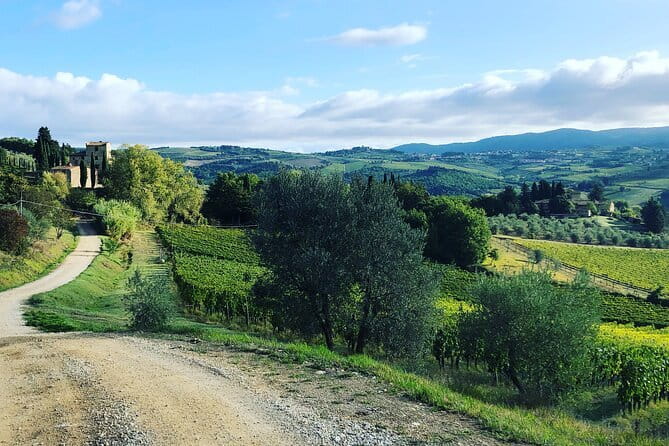 Hiking Tuscany & Chianti Wine - 3 Organic Wineries with lunch - The 7 km Chianti hike: how hard is it, and what’s the payoff?
