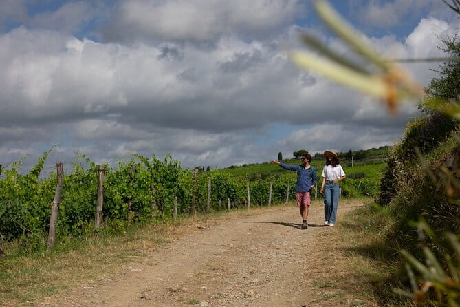 Hiking Tuscany & Chianti Wine - 3 Organic Wineries with lunch - Organic wineries: tasting wine is only half the lesson