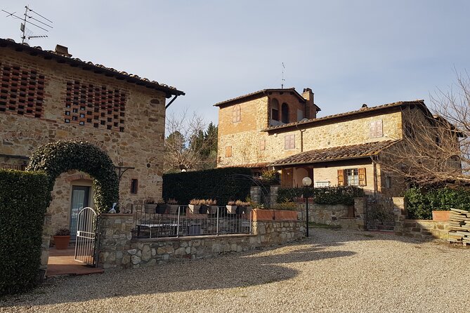 Homemade Pasta Class and Lunch in the Heart of Chianti - Lunch in the Garden: Starter Boards, Al Fresco Plates, and Wine
