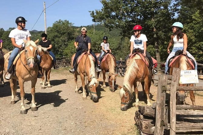 Horse ride in the Mugello (transfer from / to Florence) and Tuscan aperitif - Barberino di Mugello countryside walk: a gentle start before the ride