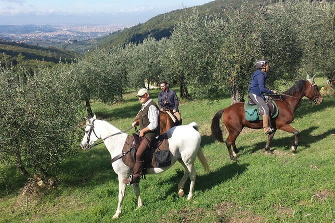 Horse ride, Olive Oil and local foods tasting in a Tuscan farm - Key things to know before you go