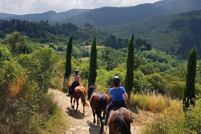 Horse Riding in Tuscany for Experienced Riders: Full-day Trail Ride - Key Things I’d Want You to Know Before Booking