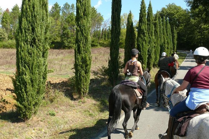 Horse Riding in Tuscany for Experienced Riders: Full-day Trail Ride - Tuscany on Horseback for Experienced Riders: What Makes This One Different