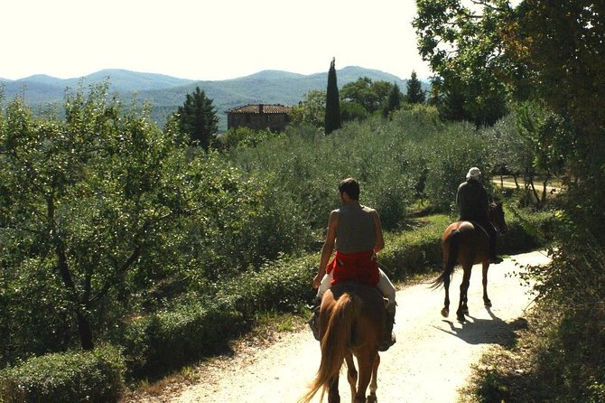 Horse Riding in Tuscany for Experienced Riders: Full-day Trail Ride - The Trail Plan: Woods, River Crossings, and That Rocky Up-and-Down