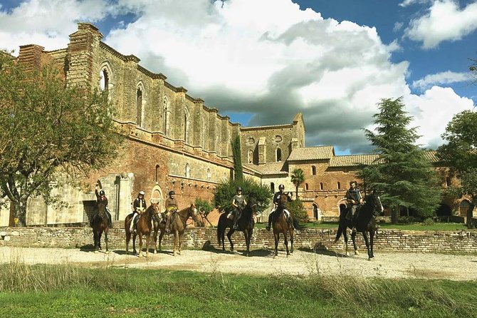 Horse Riding in Tuscany for Experienced Riders: Full-day Trail Ride - Medieval Villages and Blooming Meadows: When You Get Trot and Canter
