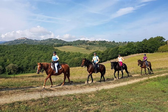 Horse Riding in Tuscany for Experienced Riders: Full-day Trail Ride - Price and Value: Is $252.86 Worth It?