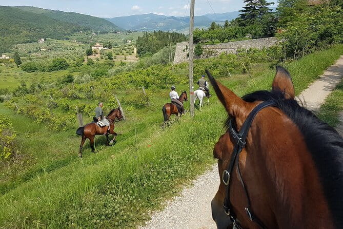 Horseback ride and gourmet cuisine in a historic food shop - The 4-hour rhythm: transfers, riding, and lunch without chaos