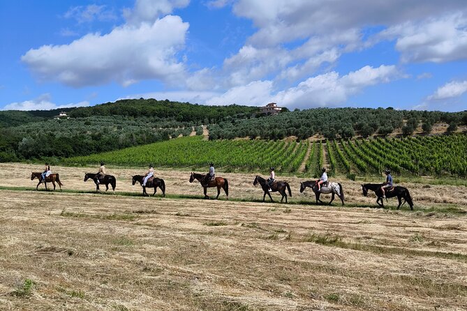 Horseback Riding in the Vineyards - Key things that make this ride work