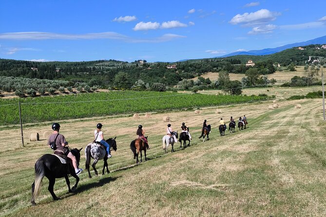 Horseback Riding in the Vineyards - First timers: the 25 minutes of practice that makes all the difference