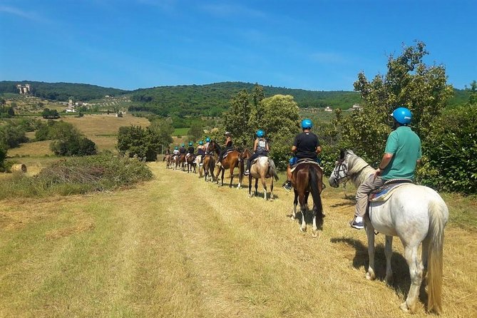 Horseback Riding in the Vineyards - How the guide turns a simple ride into a real Tuscany moment