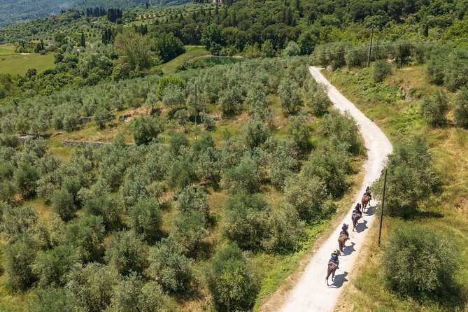 Horseback Riding in the Vineyards - Price and value: does $96.12 make sense for 90 minutes?