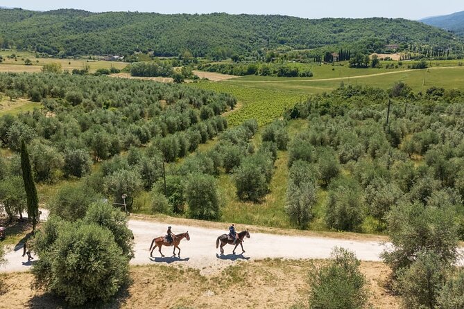 Horseback Riding in the Vineyards - What to wear and bring (so you don’t end up miserable)