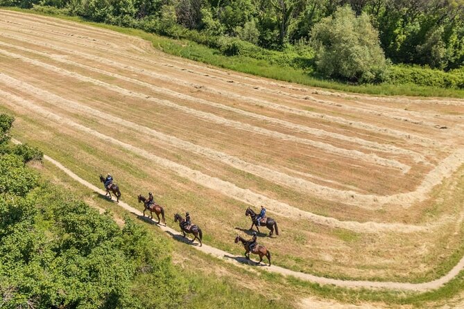 Horseback Riding in the Vineyards - The ride itself: vineyards, olive groves, and the kind of quiet Florence can’t give