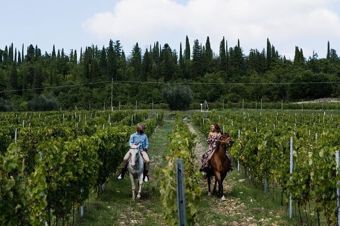 Horseback riding & Wine Tasting and snack Lunch at noble Estate - Transfers and Timing: How the Day Flows (Without Drag)