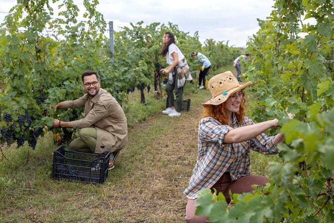 Horseback riding & Wine Tasting and snack Lunch at noble Estate - Guides, Photos, and the Personal Touch