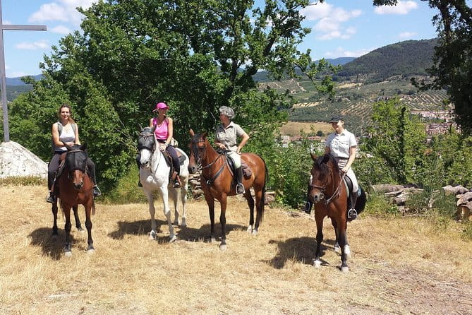 Horseback riding & Wine Tasting and snack Lunch at noble Estate - Your Private Equestrian Ride: Basics, Then Chianti Trails
