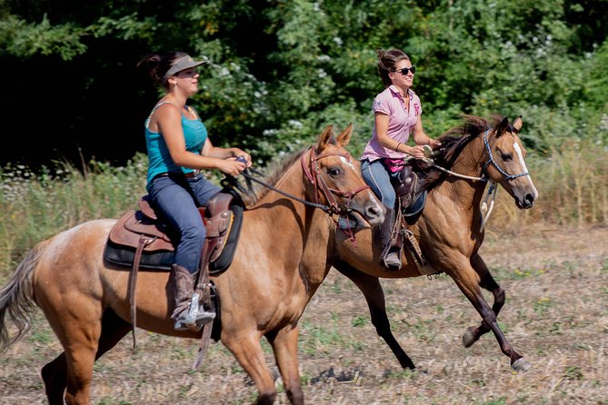 Horsemanship Experience - Key Things to Know Before You Saddle Up at Front Ranch
