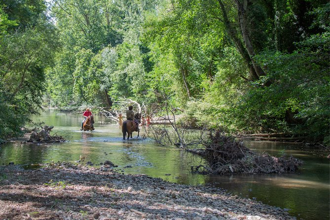 Horsemanship Experience - The 45–60 Minute Outdoor Ride: Woods, Fields, and Rolling Tuscan Hills