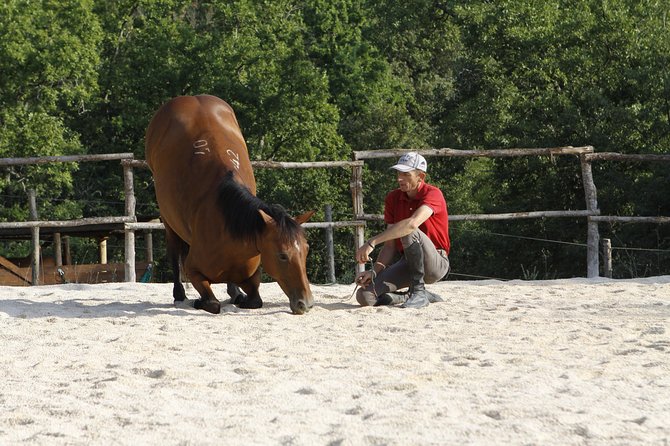 Horsemanship Experience - The Quick Return and the Relax Area in the Woods