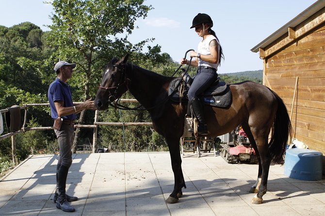 Horsemanship Experience - Meeting at Strada di Frontignano: The Welcome and the Setup