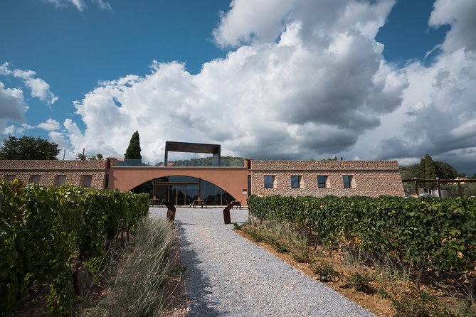 In a carriage among the vineyards, visit of the cellar, tasting of organic wines. - Highlights: What makes this tour worth your time