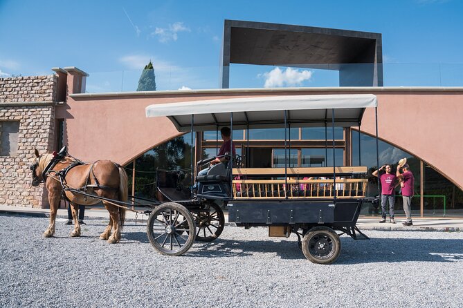 In a carriage among the vineyards, visit of the cellar, tasting of organic wines. - Tenuta Casadei in Suvereto: What you’re really signing up for