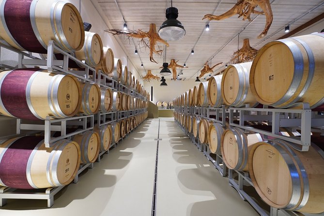In a carriage among the vineyards, visit of the cellar, tasting of organic wines. - Cellar tour: Barrels and amphorae, not just a whitewashed hallway