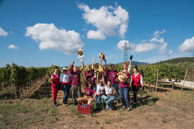 In a carriage among the vineyards, visit of the cellar, tasting of organic wines. - The artisan pairings: Why the food isn’t filler