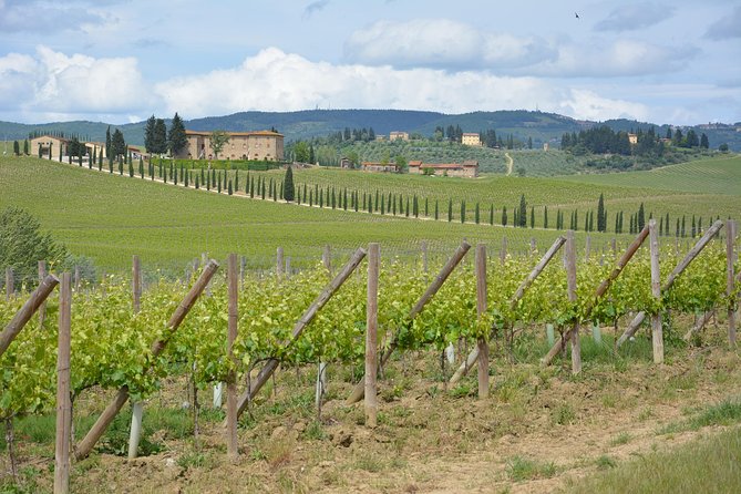 It's Wine Time! 2 wineries & farm-to-table lunch—max 8 pp - Winery stop two plus lunch: the farm-to-table centerpiece