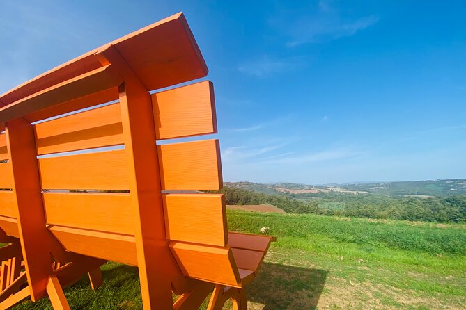 La Maliosa Farm Experience & Wine Tasting - Fattoria La Maliosa Farm Experience: the setting in Saturnia
