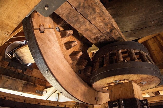 Leonardo Da Vinci's wind mill visit and Organic olive oil tasting - Walking Tuscany’s Olive Groves Before You Touch the Oil