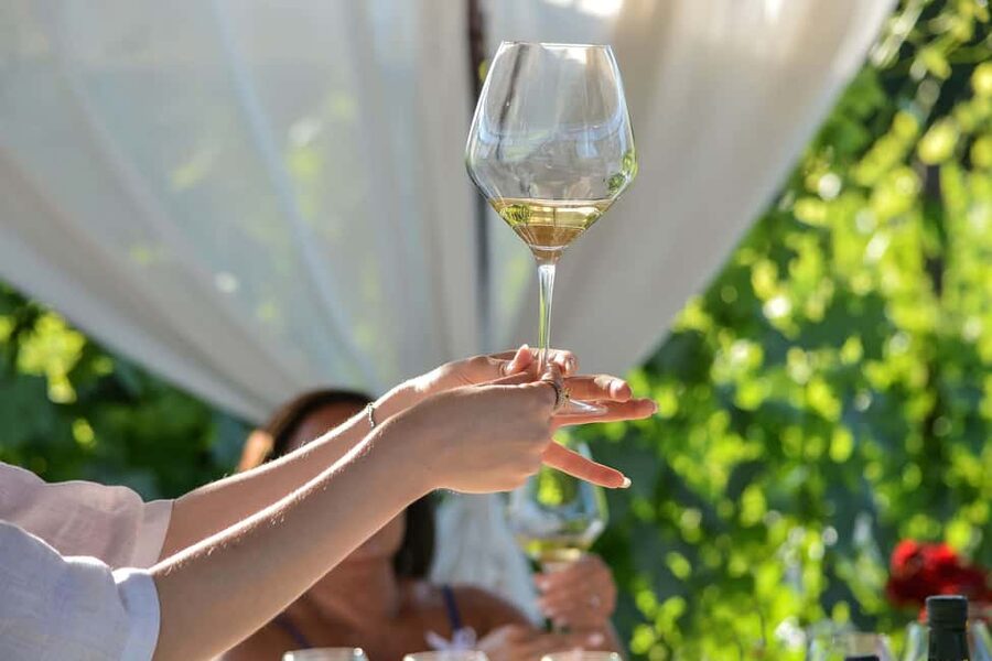 Light Lunch with Wine Tasting - Service and the human touch (Lilo stands out)